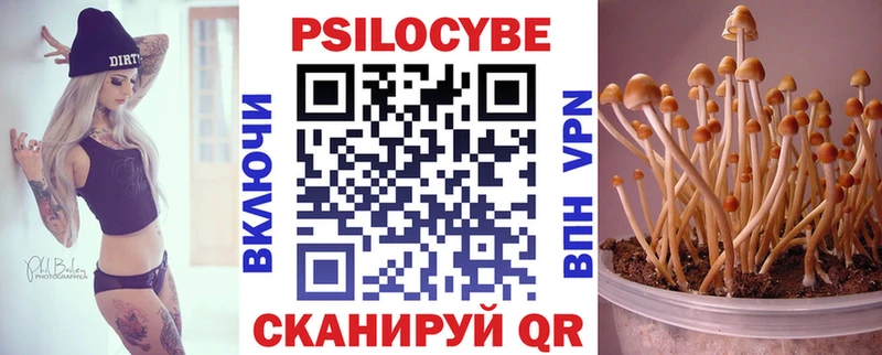блэк спрут ссылки  Новочеркасск  Псилоцибиновые грибы Psilocybe  как найти наркотики 
