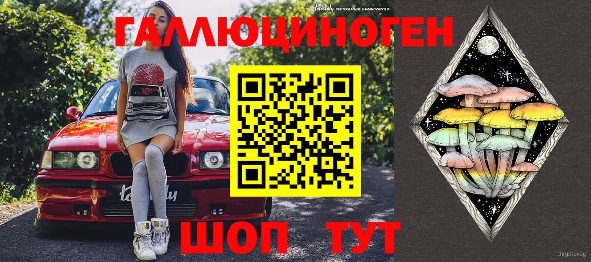 Псилоцибиновые грибы мицелий Новочеркасск