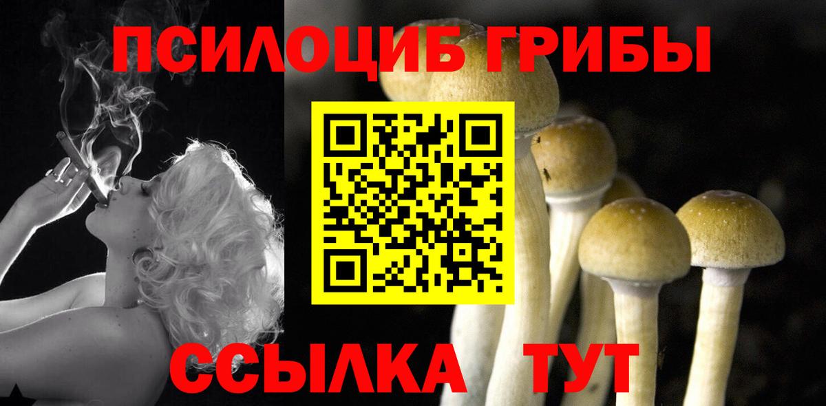 Новочеркасск  Галлюциногенные грибы Cubensis  Вход с VPN  Галлюциногенные грибы прущие грибы 